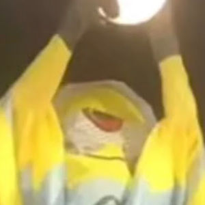 Meet your Posher, Golzifyz